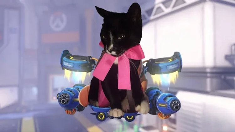 Overwatch-Hype um Jetpack Cat: Fans verwandeln ihre Katzen in Helden